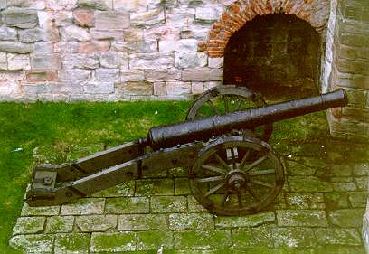 Defensive cannon