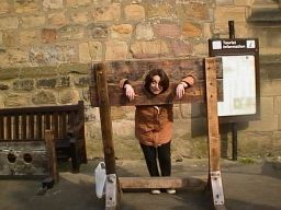 Standing in the stocks outside on display