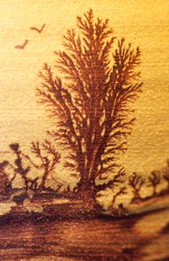 Detail from a Mocha pot